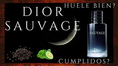 a que huele el perfume dior|sauvage de dior fragancia.